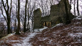 Burgruine Pottenburg