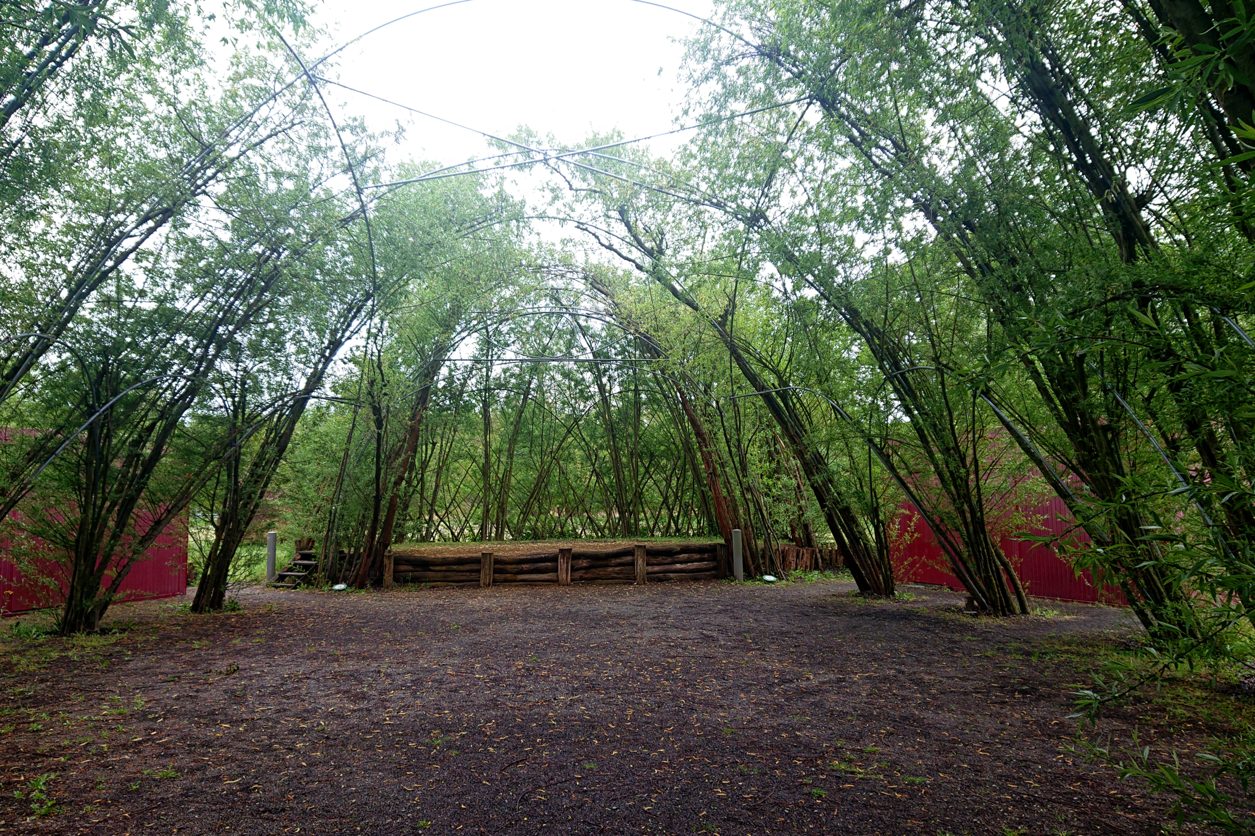 Burg im Spreewald - Weidenburg Arena Salix