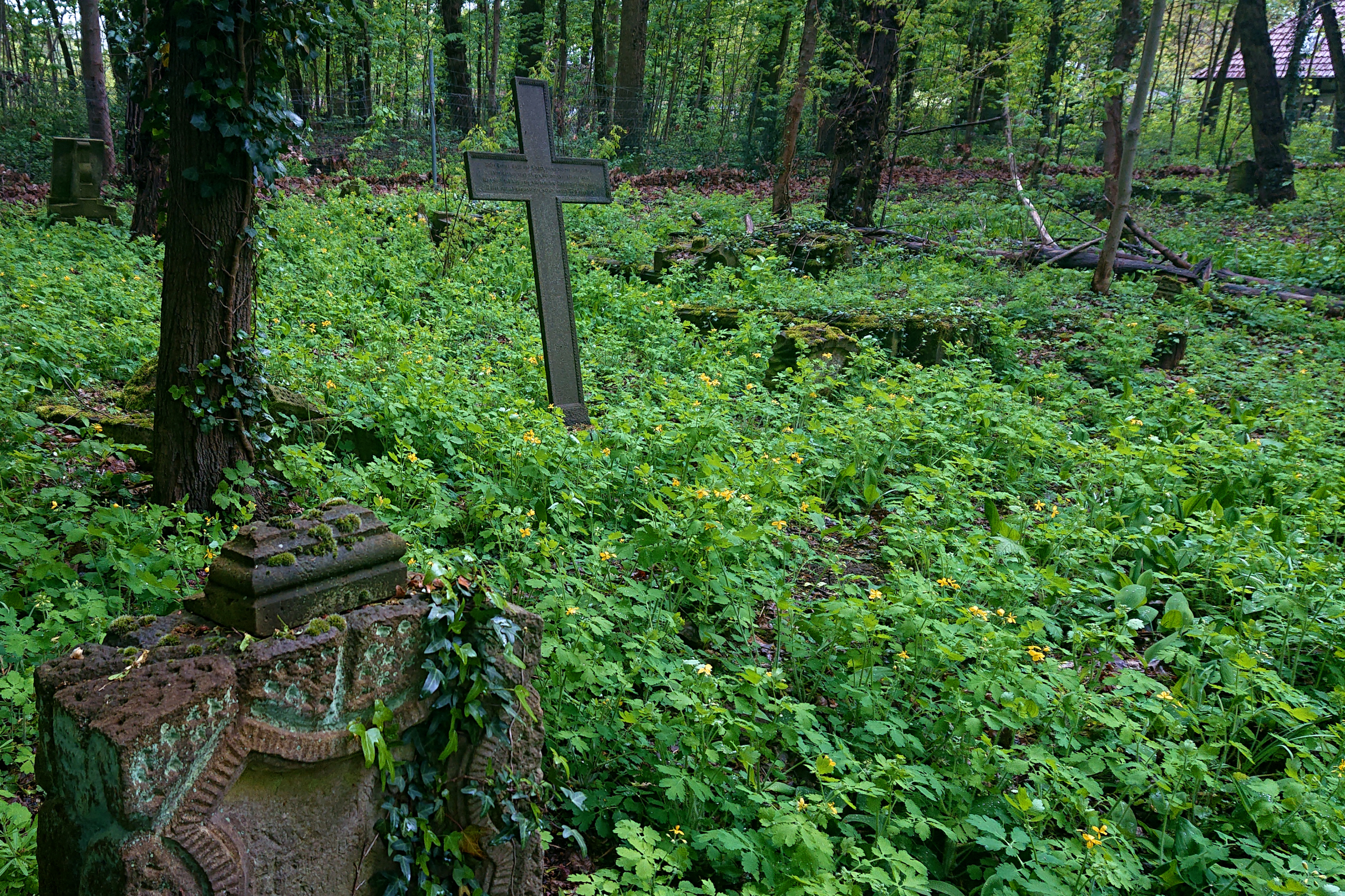 Burg im Spreewald - alter Friedhof