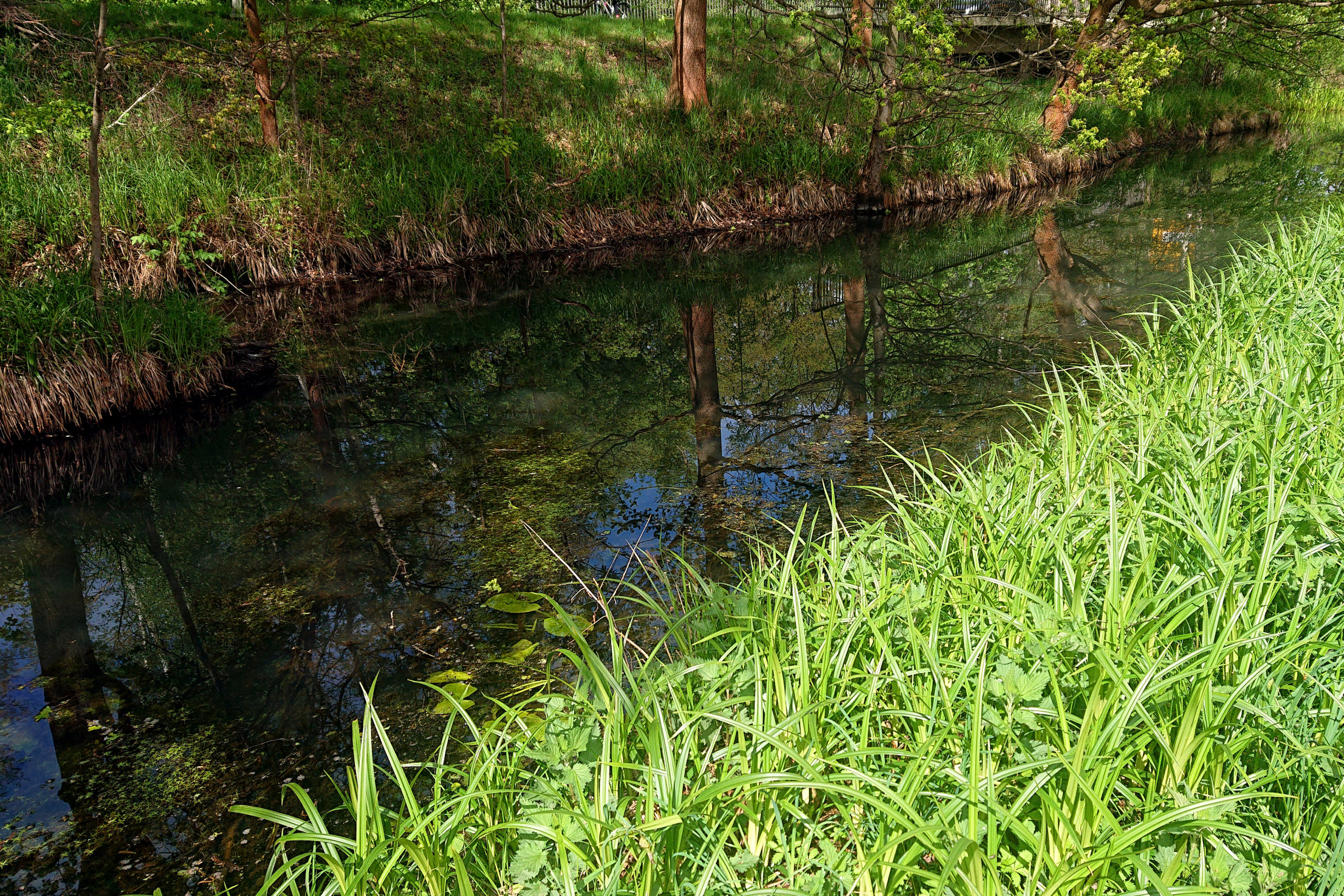 Burg im Spreewald - malerische Fließe